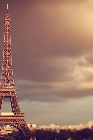 ปกนิยาย MY REMEMBER'S