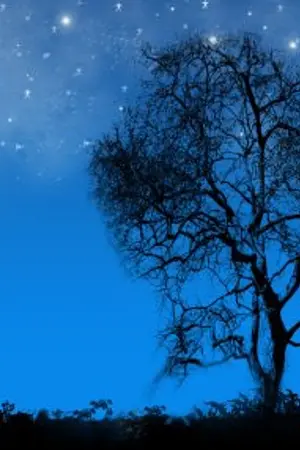 ปกนิยาย มนตรา จันทรา สองเรา