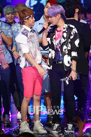 ปกนิยาย My Cat