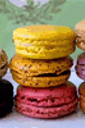 ปกนิยาย ROOM !!