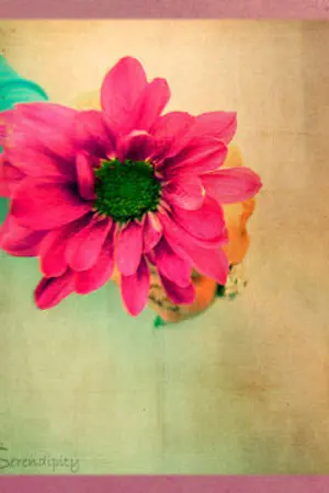 ปกนิยาย ซ่อนรักวิวาห์ซาตาน