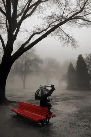 ปกนิยาย [FIC NARUTO] vengeance รักนี้ขอมีแต่การแก้แค้น(Saku/Sasu)