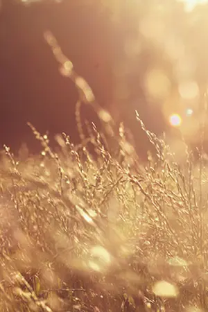 ปกนิยาย บรรทัดสุดท้ายในเฟรนด์ชิฟ