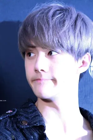 ปกนิยาย :: EXO :: The Obssession - KaiHun -