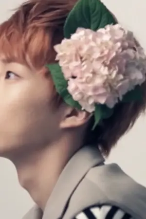 ปกนิยาย [EXO] Our lovely Big Brother Series ( Xiumin & all )