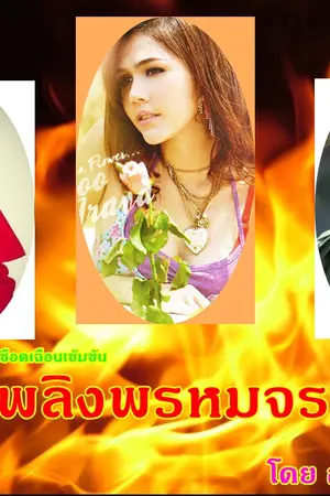 ปกนิยาย