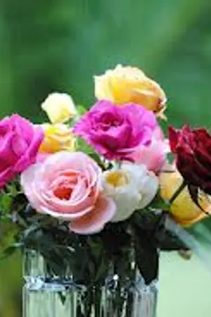 ปกนิยาย ใจประสานรัก