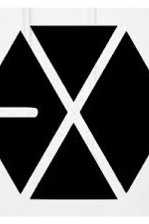 ปกนิยาย [FIC EXO] IDOL