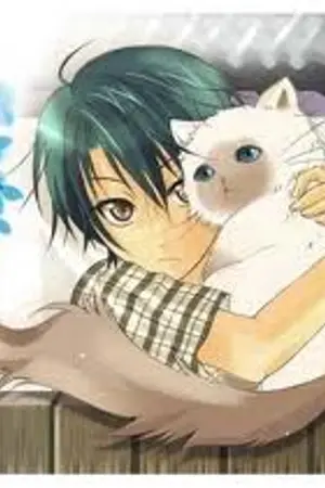 ปกนิยาย Prince of tennis ตอน เจ้าชาย[หญิง]รูปงาม