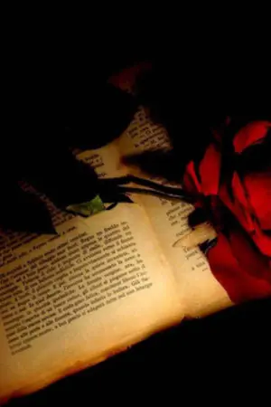 ปกนิยาย Crazy Sorry Rose NC18+ ( SNSD x EXO x SJ x B.A.P x SHINEE )