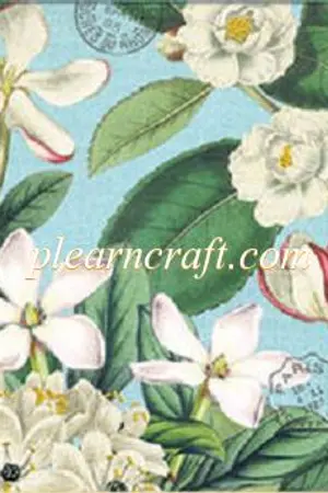 ปกนิยาย I KAGERIA GARDENIA