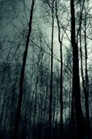 ปกนิยาย War of curse!!! รักต้องคำสาป