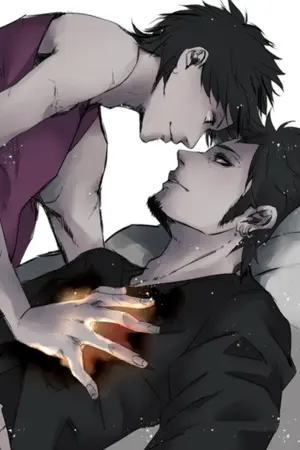 ปกนิยาย Fic Law X Luffy แผนรักร้าย พ่ายรัก