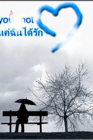 ปกนิยาย you not แค่ฉันได้รัก