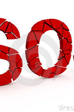 ปกนิยาย SOSO (Simulation Of Soul Online)