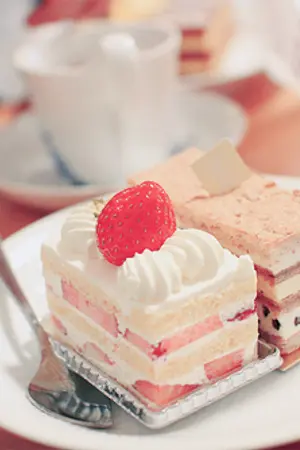 ปกนิยาย รับวิจารณ์นิยาย สบายๆสไตล์ IM.HYESU-