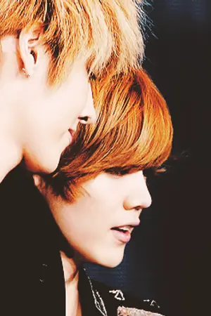 ปกนิยาย [EXO]  FAIRY FOREST★  {KH,CB}