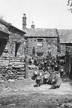 ปกนิยาย Legend of Luxterria ตำนานแห่งลุกซ์เธอเรีย