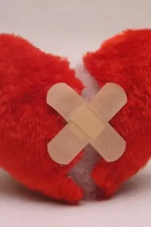 ปกนิยาย พลาสเตอร์