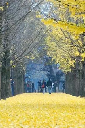 ปกนิยาย สมุดแห่งความตาย