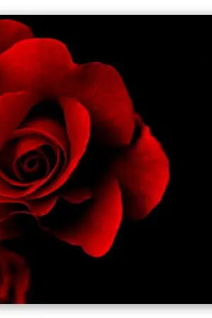 ปกนิยาย [ MINO TAEYEON ] HAPPEN ENDING