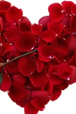 ปกนิยาย กันริท รักเรา..ความหมายต่างกัน Project