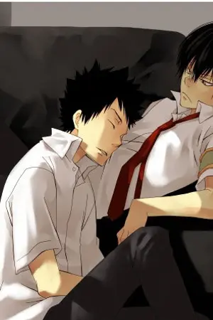 ปกนิยาย [FIC KHR 8018]  love VS annoyed (YAOI)