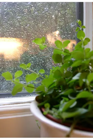 ปกนิยาย Memory ความทรงจำสีรุ้ง