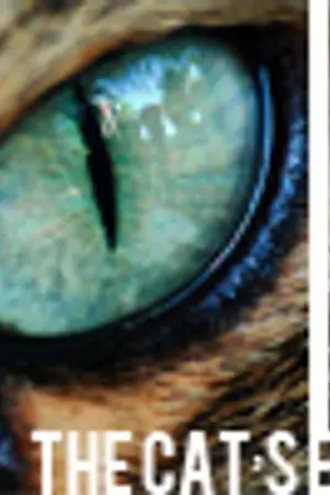 ปกนิยาย The Cat's Eye นักข่าวมือใหม่ หัวใจหัดรัก (CANCEL)