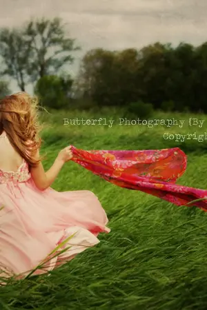 ปกนิยาย The wind of love บันทึกรักแห่งสายลม