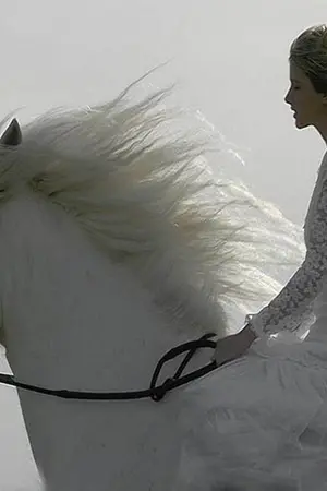 ปกนิยาย นิยาย it's too late มันสายไปเเล้ว