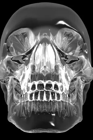 ปกนิยาย SkuLL ราชาต้องสาป