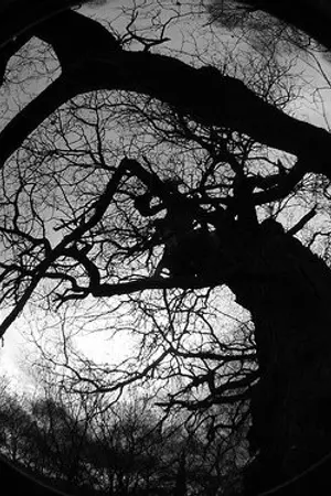 ปกนิยาย The vampire demon night พันธนาการเลือด...แวมไพร์ต้องคำสาป