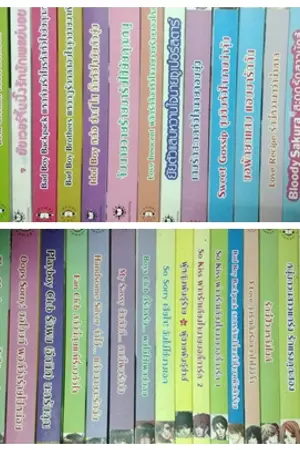 ปกนิยาย ส่งต่อนิยายแจ่มใสมือสอง !!!