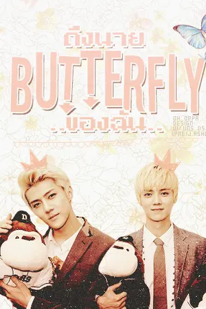 ปกนิยาย [ Fic EXO ] BUTTERFLY : HunHan KaiDO ChanBaek