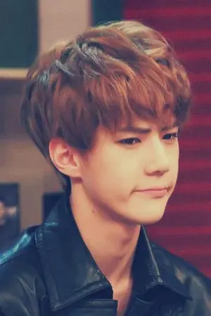 ปกนิยาย [Fic Exo] -sf Exo x You- Sweet Stories - offline