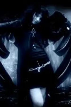 ปกนิยาย Shadow Wing เงาปักษา