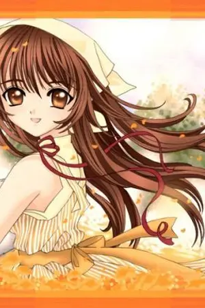 ปกนิยาย โรงเรียนกษัตริย์ อเมทิส