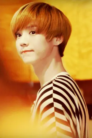 ปกนิยาย (fic exo) คนโง่ (fool) - hunhan x chanbeak