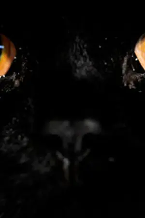 ปกนิยาย ความสุขเล็กๆของคาโอรุ ตอนพิเศษ [ซาเอจิมะ โคกะ x มิซึกิ คาโอรุ]