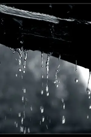 ปกนิยาย SEXTOY (YAOI)  ALLxLAY