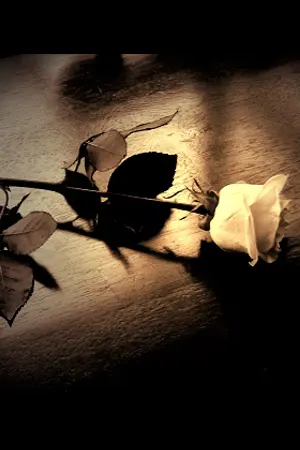 ปกนิยาย MURDER