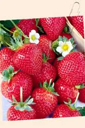 ปกนิยาย รักต่างวัย... หัวใจต้องเพี้ยน!! #1