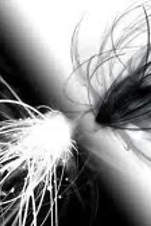 ปกนิยาย Black & White โลกสีขาวและดำ