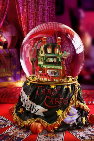 ปกนิยาย Love of Fortune