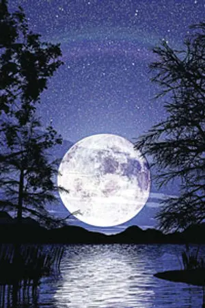 ปกนิยาย โกดังเก็บของจ้า ^_^