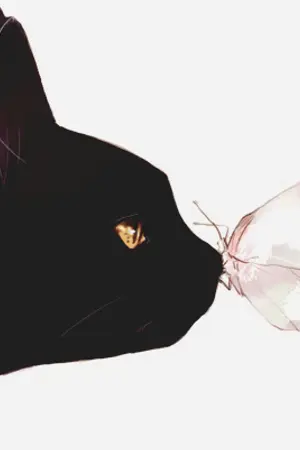 ปกนิยาย ::: DRAW TOGETHER ::: KAI x ???