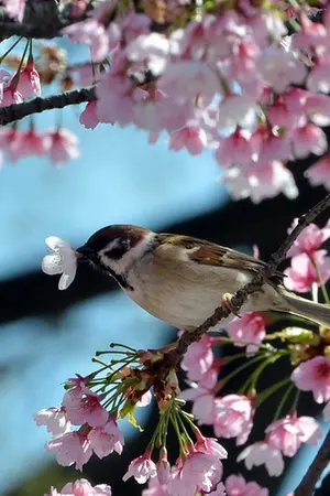 ปกนิยาย Wow!! Code mouse.