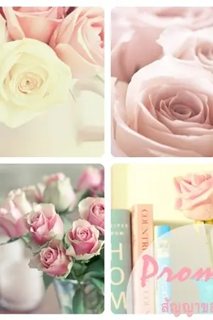 ปกนิยาย [Exo Snsd]Promise สัญญาของหัวใจ