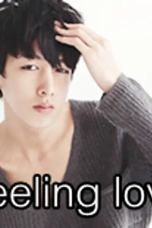 ปกนิยาย Feeling love [ Yaoi ]